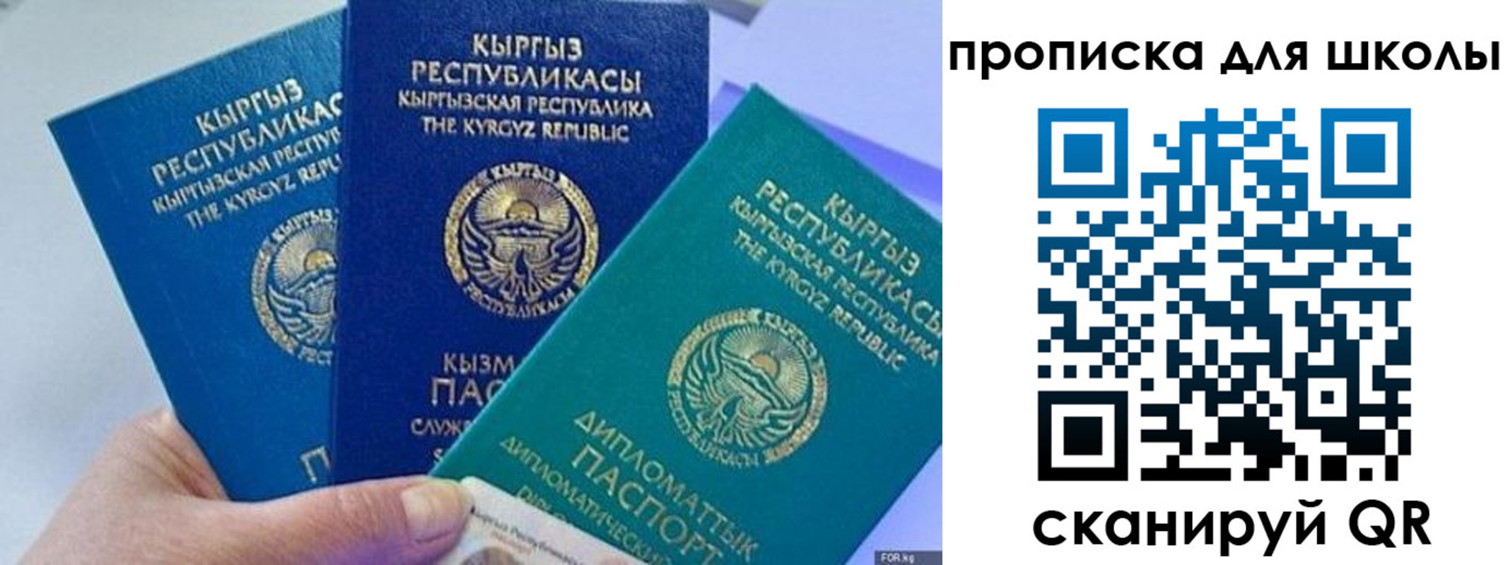 прописка регистрация в Острове